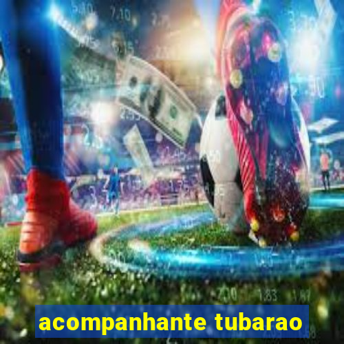 acompanhante tubarao